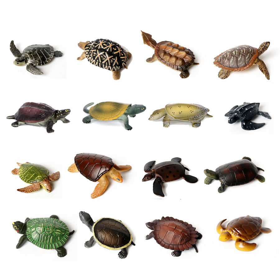 Ocean Aquarium - Thực Tế Bức Tiểu Họa Sinh
