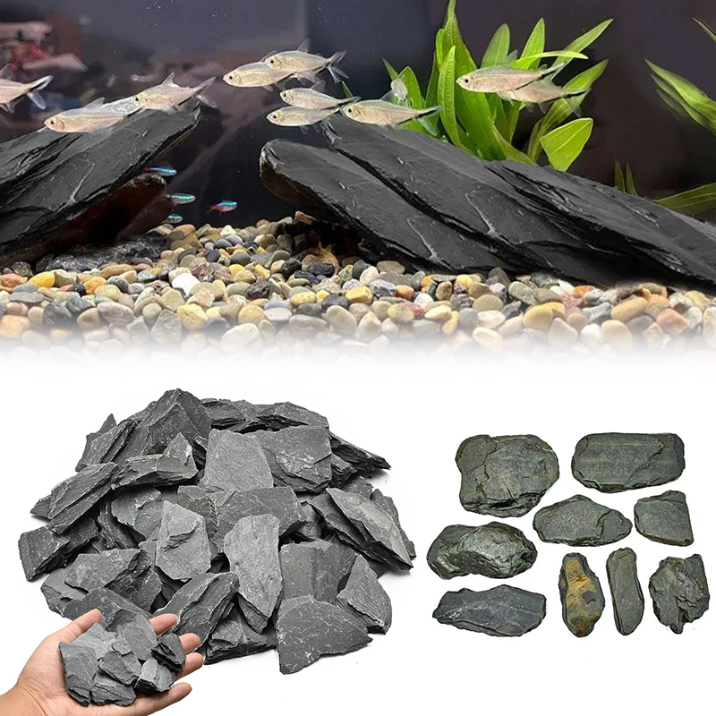 500/1000g Fish Tank Landscape  - đánh giá và giá Marine Fish Tank