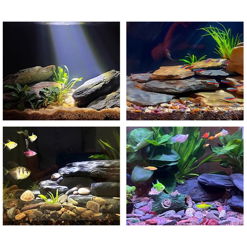 500/1000g Fish Tank Landscape  - đánh giá và giá Marine Fish Tank