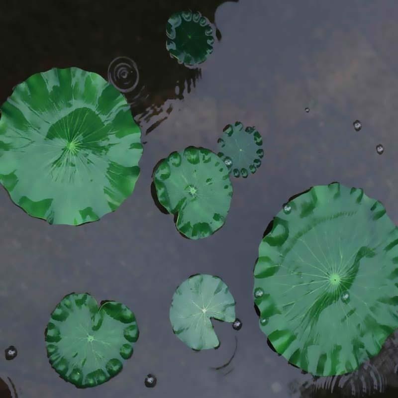 2026 Artificial Water Lily Lot - đánh giá và giá Ocean Aquarium