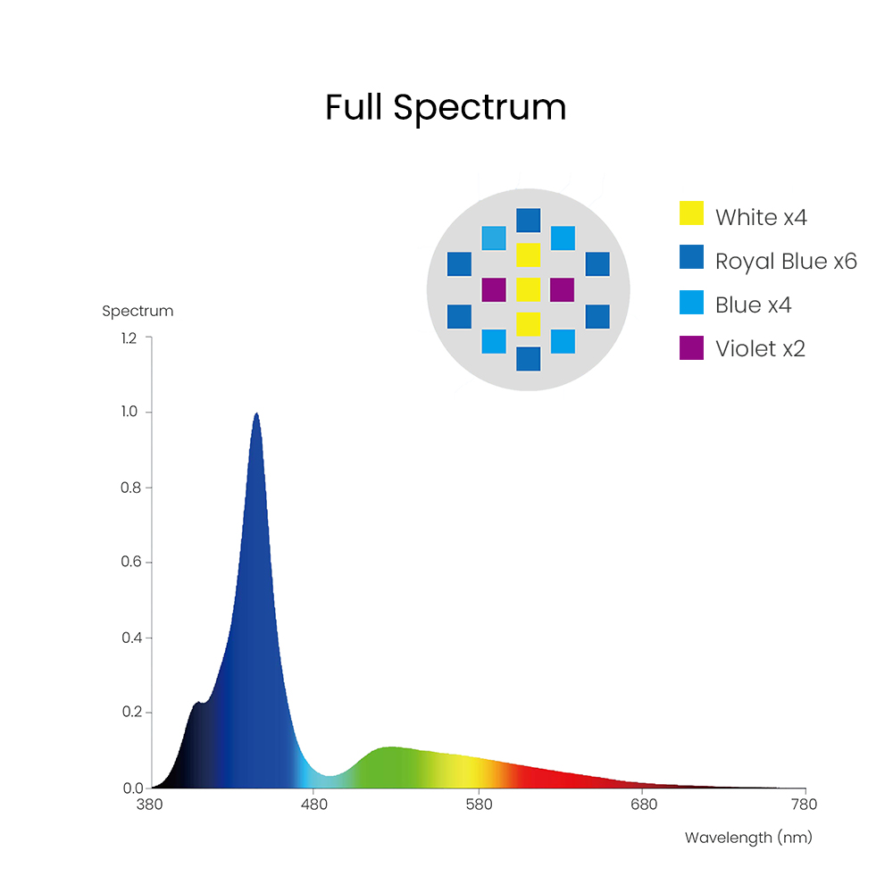 Đèn LED cho bể cá biển Spectra - đánh giá và giá Reef Lighting