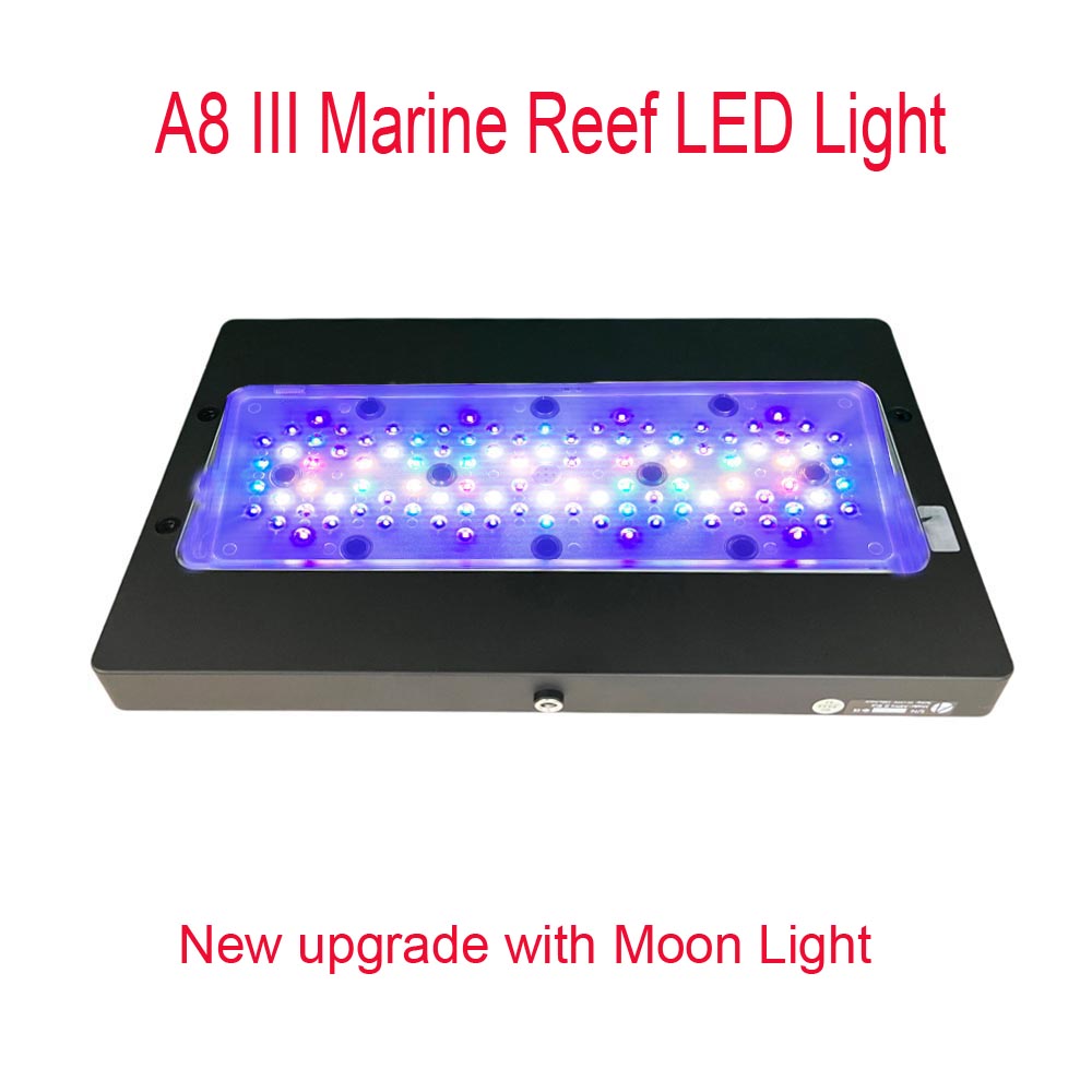 A8 III Moon light Powerful Mar - đánh giá và giá Reef Lighting