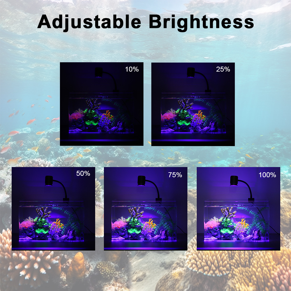 LED Aquarium Light Full Spectr - đánh giá và giá Reef Lighting