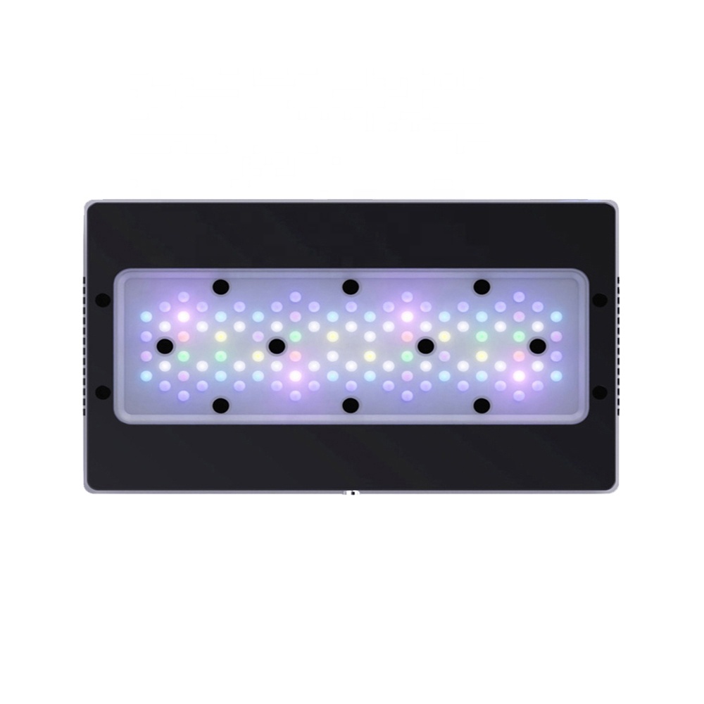 A8SE II Max And Blue 240W Full - đánh giá và giá Reef Lighting