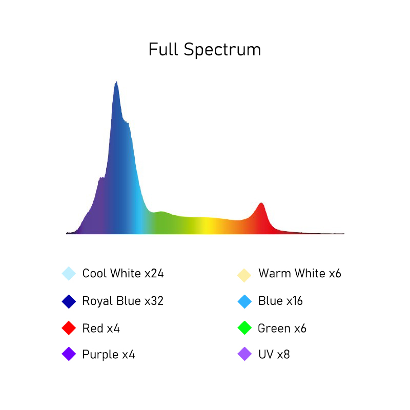 A8SE II Max And Blue 240W Full - đánh giá và giá Reef Lighting