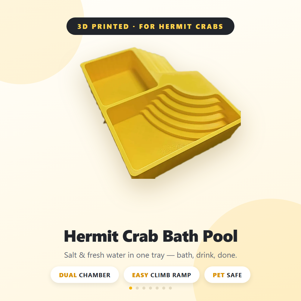 Hermit Crab Water Bowl Dual Po - đánh giá và giá Saltwater Tank