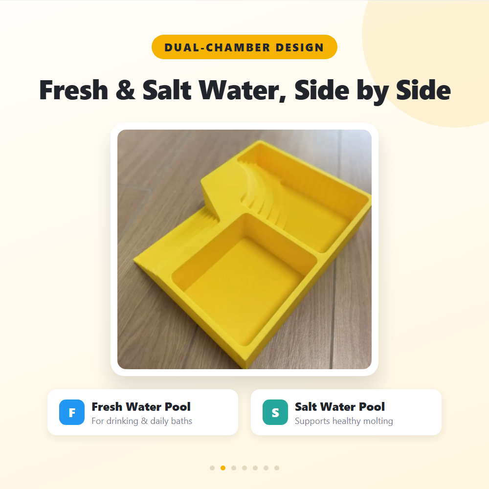 Hermit Crab Water Bowl Dual Po - đánh giá và giá Saltwater Tank