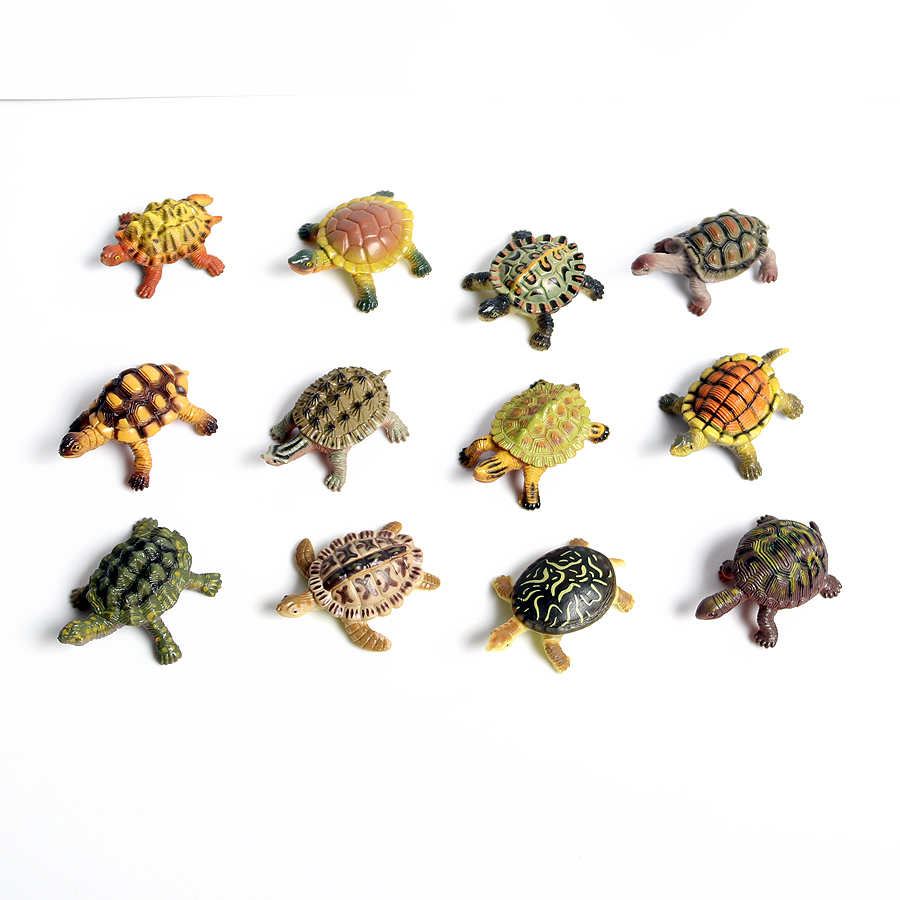 Thực Tế Bức Tiểu Họa Sinh Vật  - đánh giá và giá Ocean Aquarium
