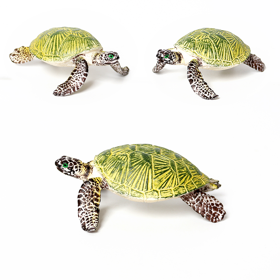 Thực Tế Bức Tiểu Họa Sinh Vật  - đánh giá và giá Ocean Aquarium